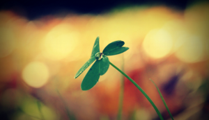 厨用刀具出口现状,厨房刀具市场分析