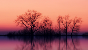 刀带血的图片大全真实简单的方法,刀带着血的图片