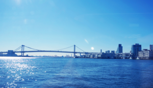 厨用刀属于管制器具吗怎么处罚依据,厨刀算管制刀具吗